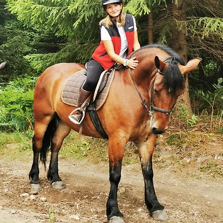 Natura * Topliţa